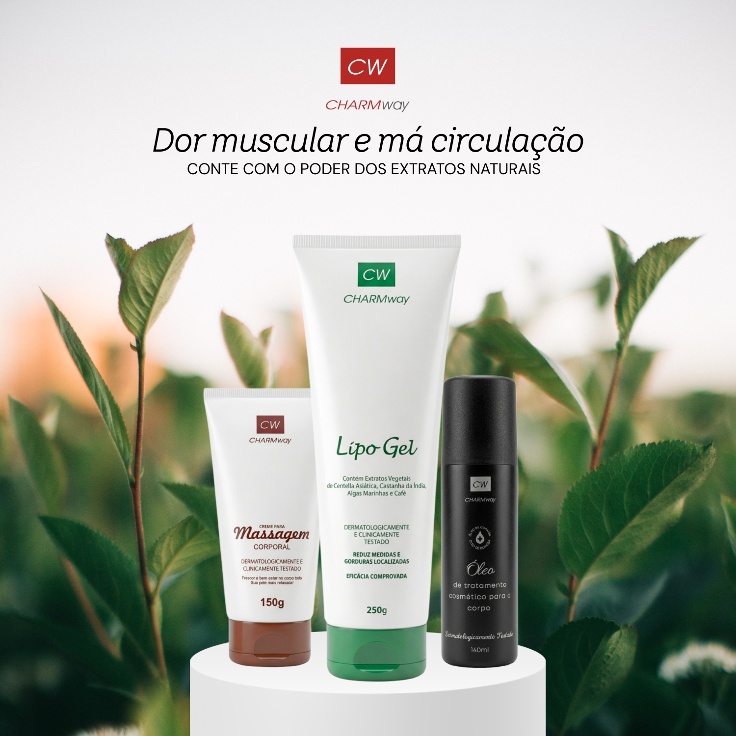 Dor e Má-Circulação